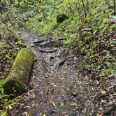 Review photo of Samuel P. Taylor State Park Campground by Joseph G., April 18, 2024