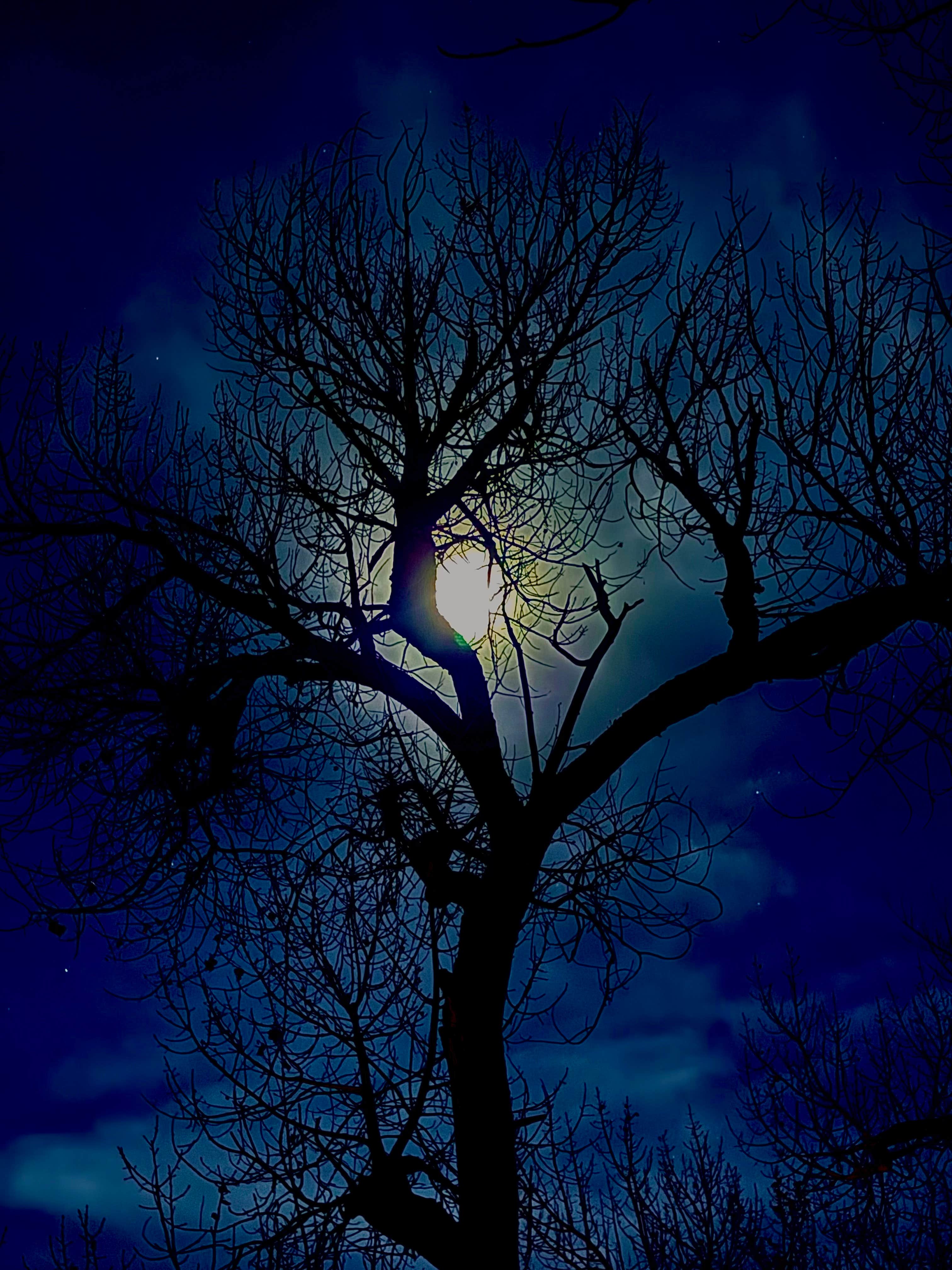 Camper-submitted photo at San Antonio Bosque Park near Magdalena, NM