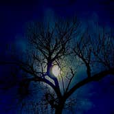 Review photo of San Antonio Bosque Park by Rey R., March 2, 2026