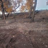 Review photo of San Antonio Bosque Park by Renee T., November 23, 2024