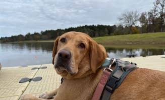Jim P.'s photo of camping with pets at COE Sam Rayburn Reservoir San Augustine Park near Brookeland, TX