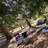 Review photo of Barton Flats Campground by Genesis C., June 1, 2025