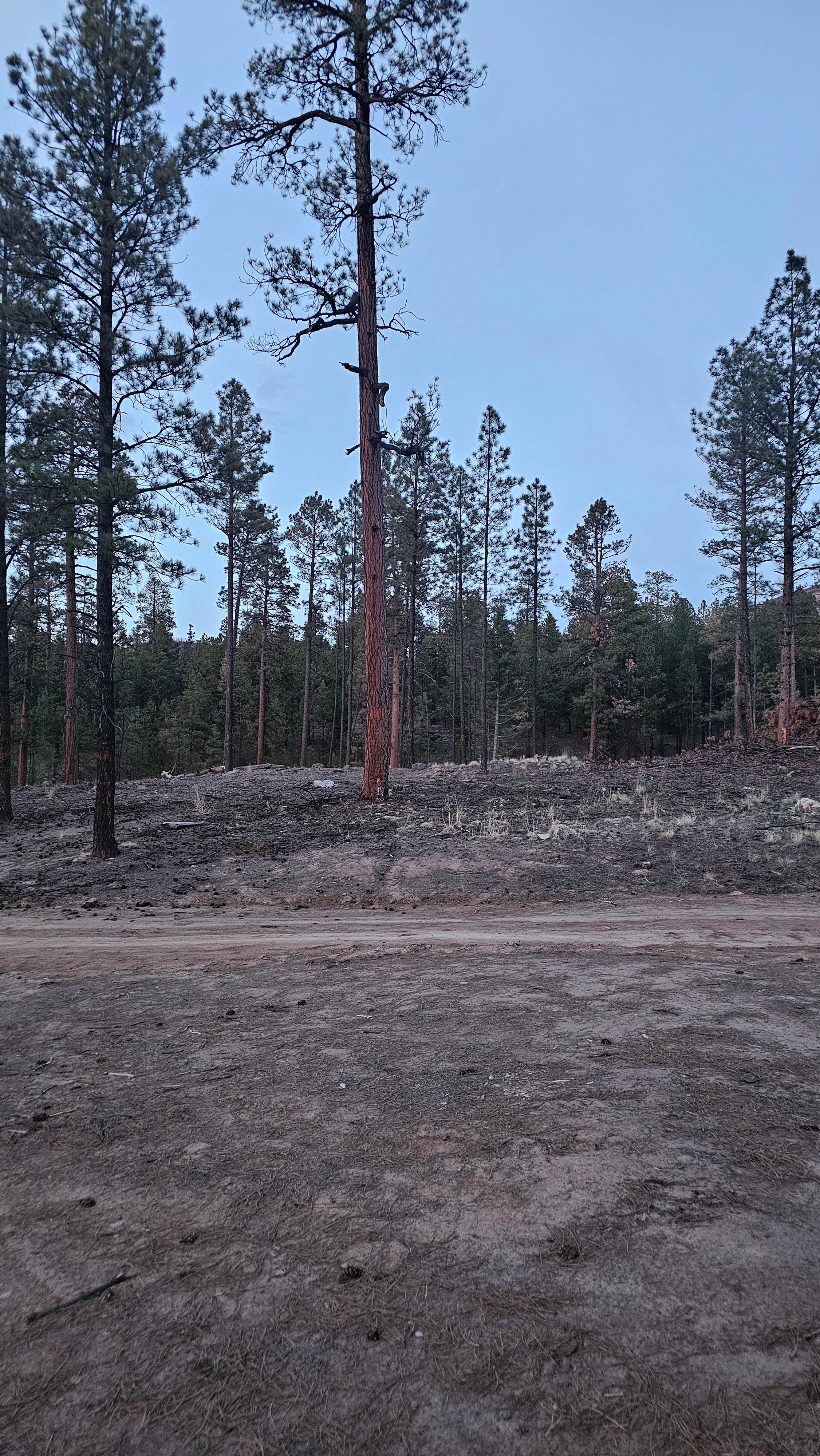 Camper-submitted photo at San Diego Canyon Lookout near Jemez Springs, NM