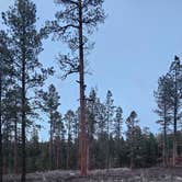 Review photo of San Diego Canyon Lookout by johny R., April 13, 2026