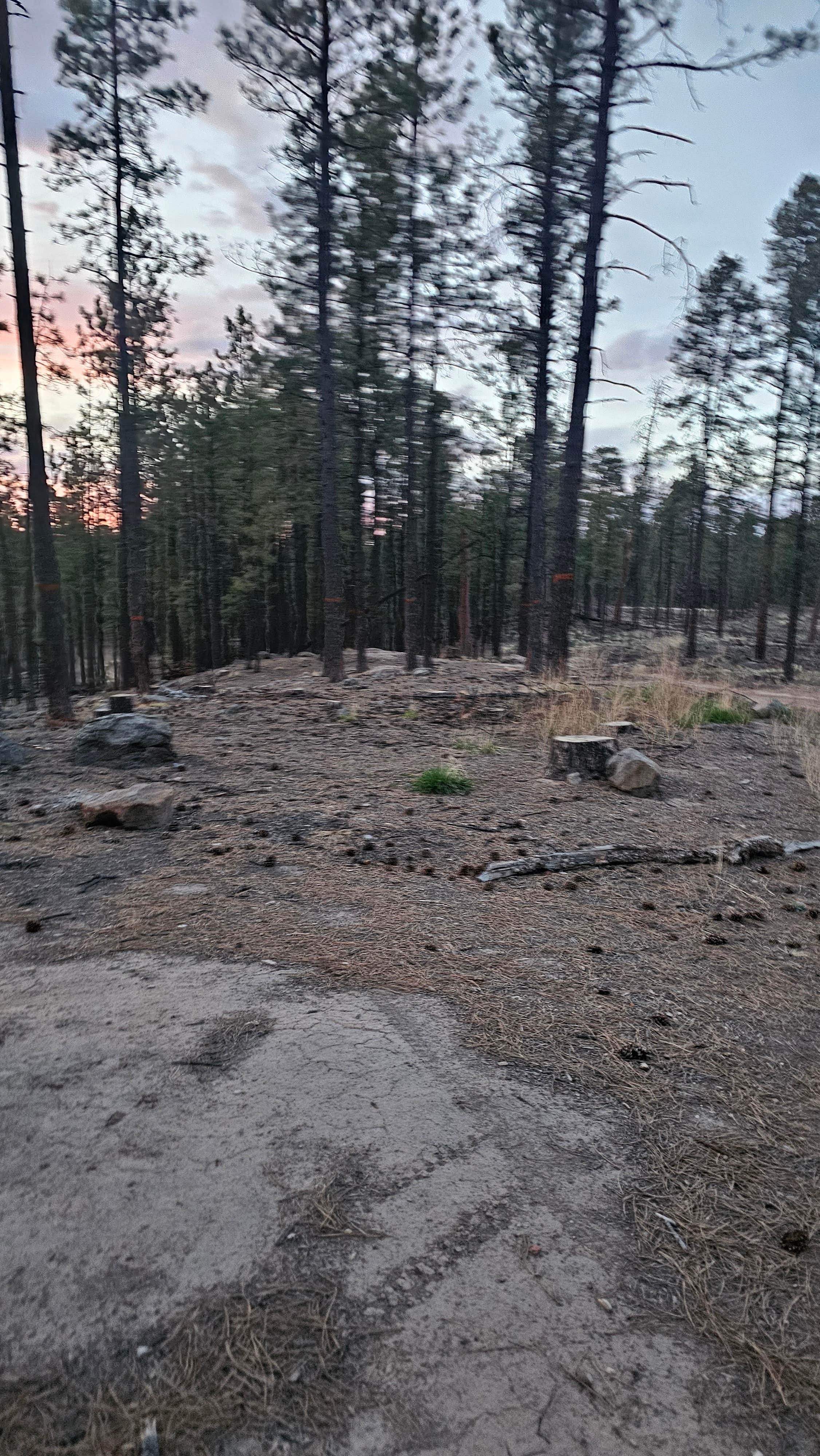Camper-submitted photo at San Diego Canyon Lookout near Jemez Springs, NM