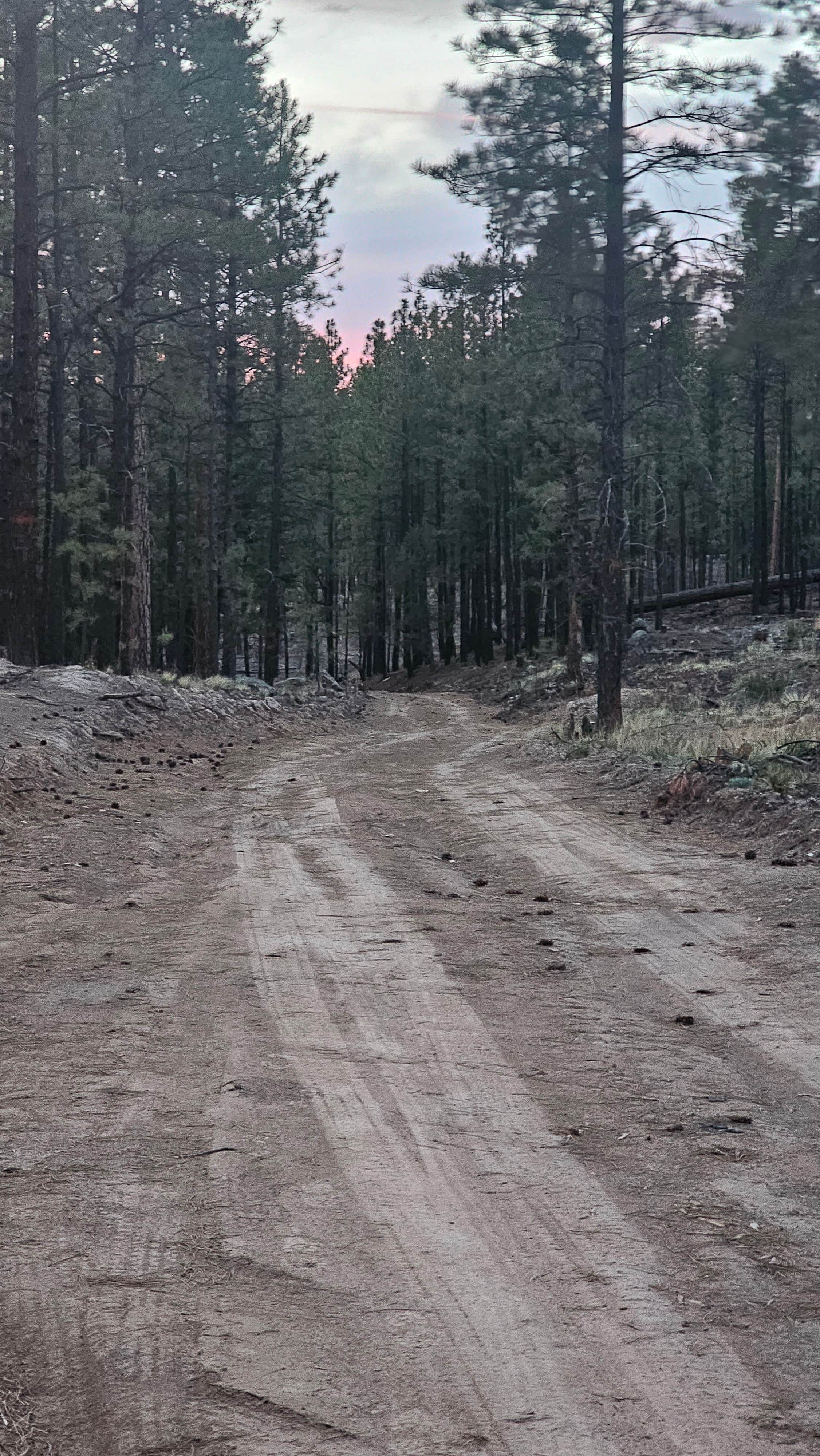 Roads