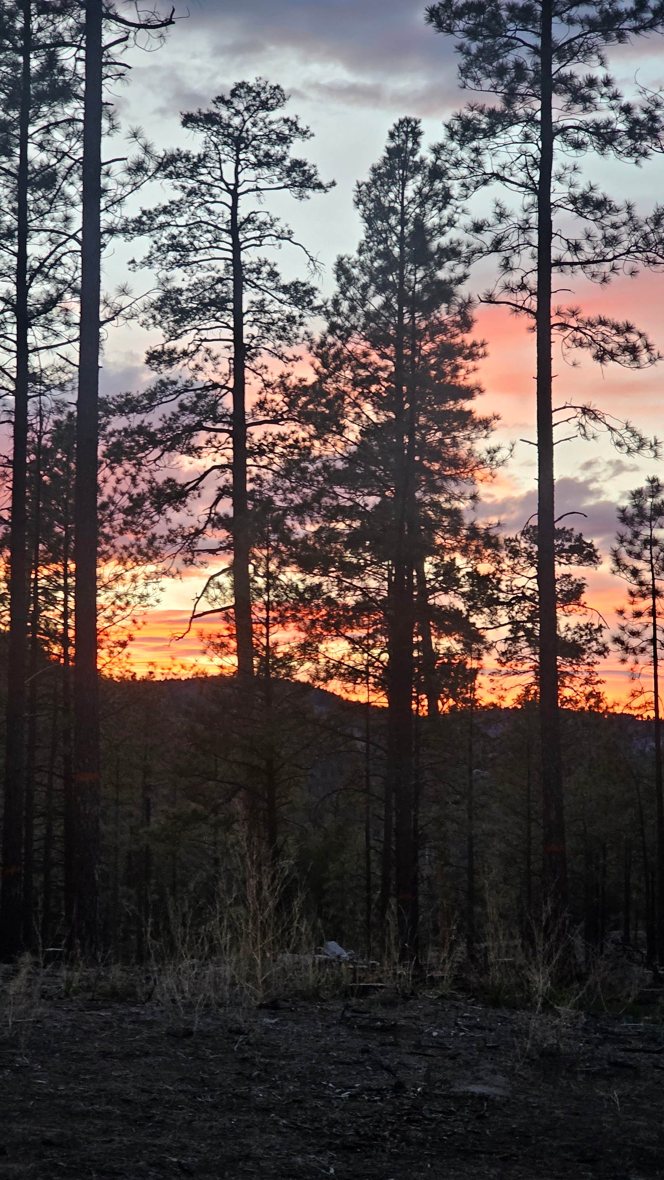Camping near Vista Linda Campground — Santa Fe National Forest: San Diego Canyon Lookout, Jemez Springs, New Mexico