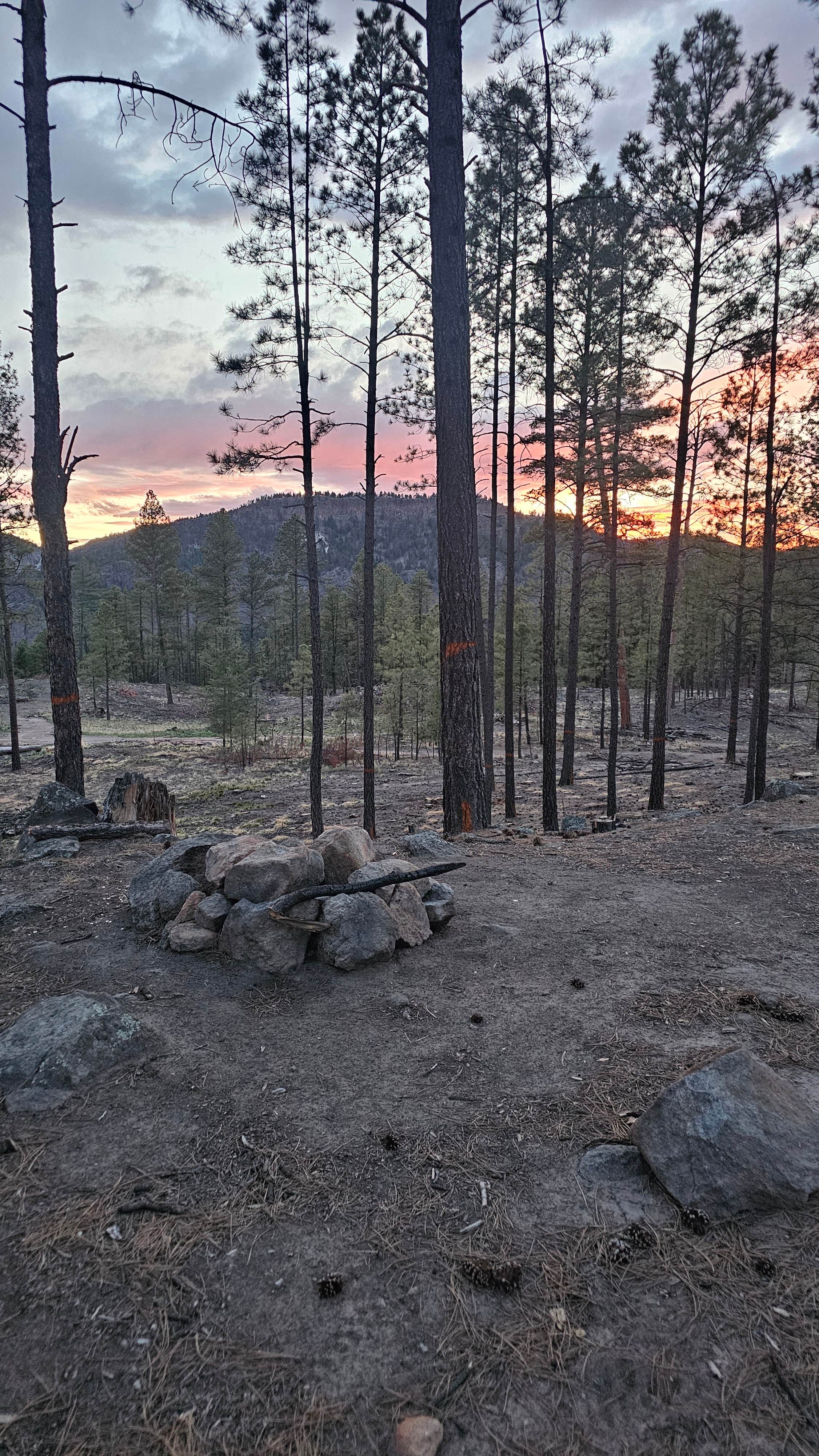 Camper-submitted photo at San Diego Canyon Lookout near Jemez Springs, NM