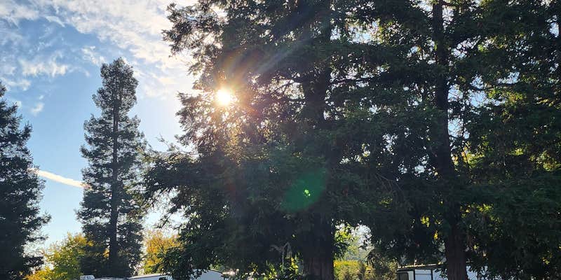 Camper submitted image from San Francisco North-Petaluma KOA
