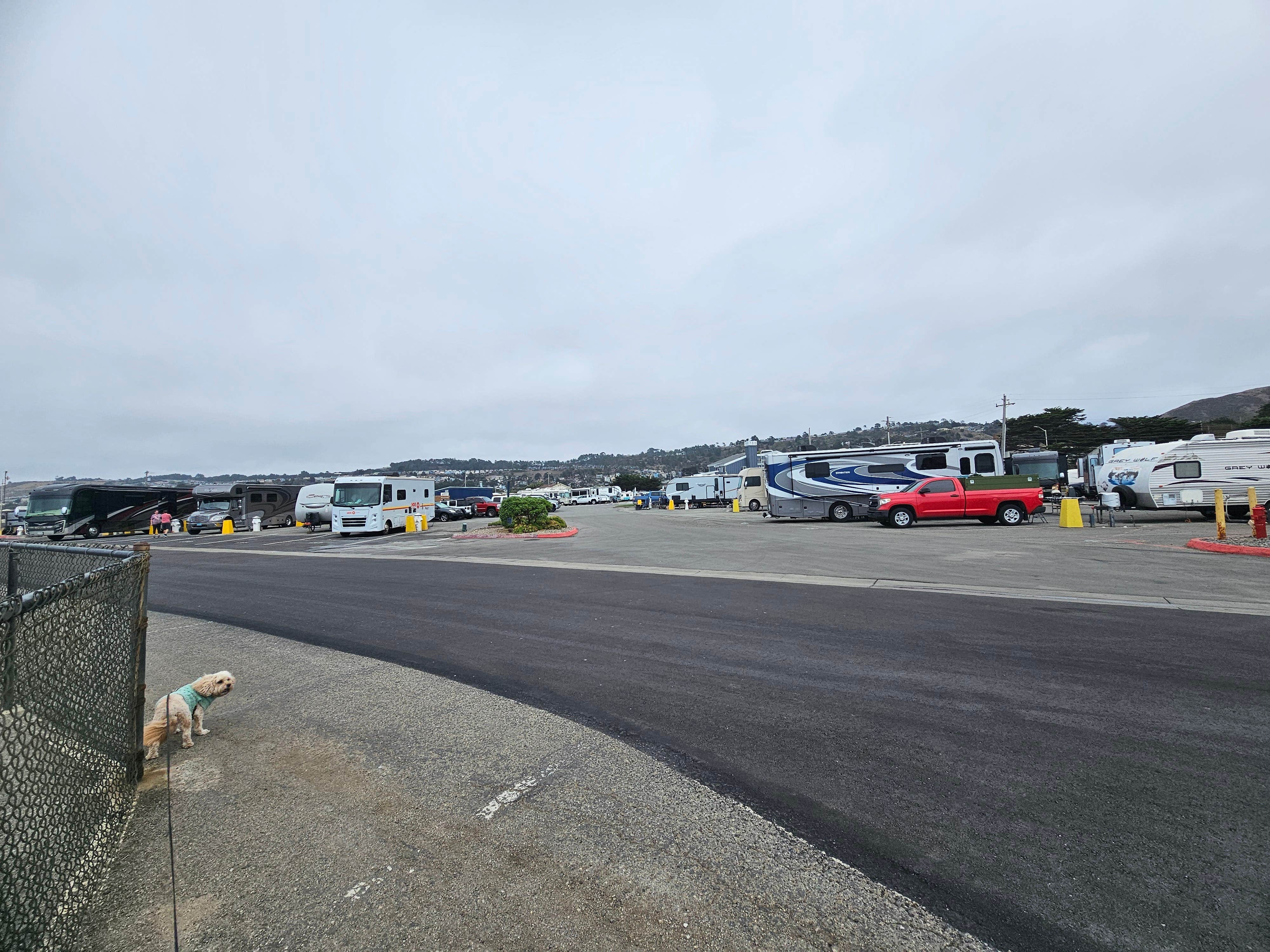 Dawn S.'s photo of camping with pets at San Francisco RV Resort near San Francisco, CA