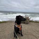Review photo of San Francisco RV Resort by Tom H., June 27, 2025