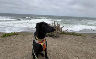 Tom H.'s photo of camping with pets at San Francisco RV Resort near Belmont, CA