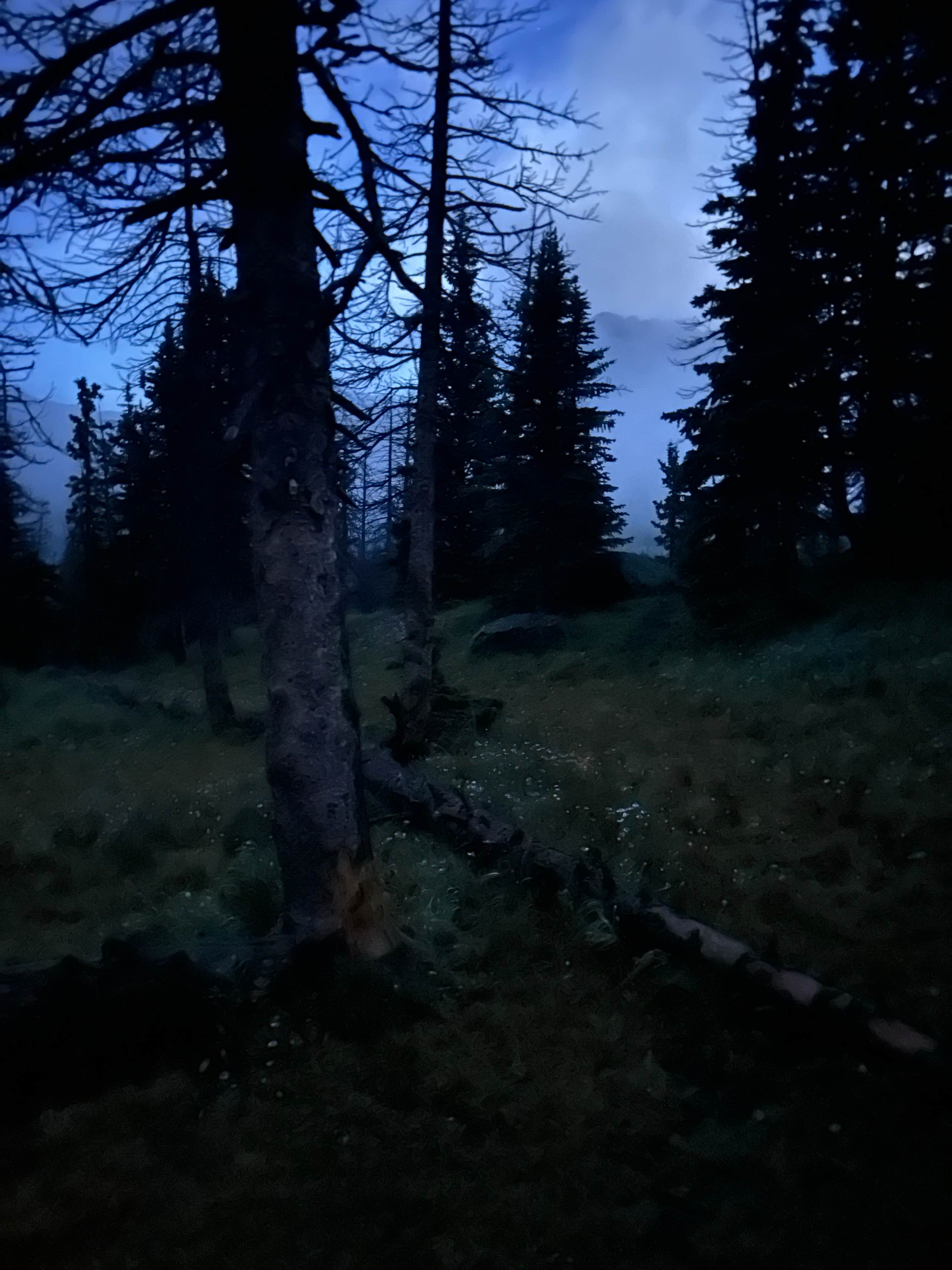 Camper-submitted photo at San Isabel Lake near Moffat, CO