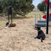 Review photo of San Jon Village Park Route 66 by dyan , May 29, 2026