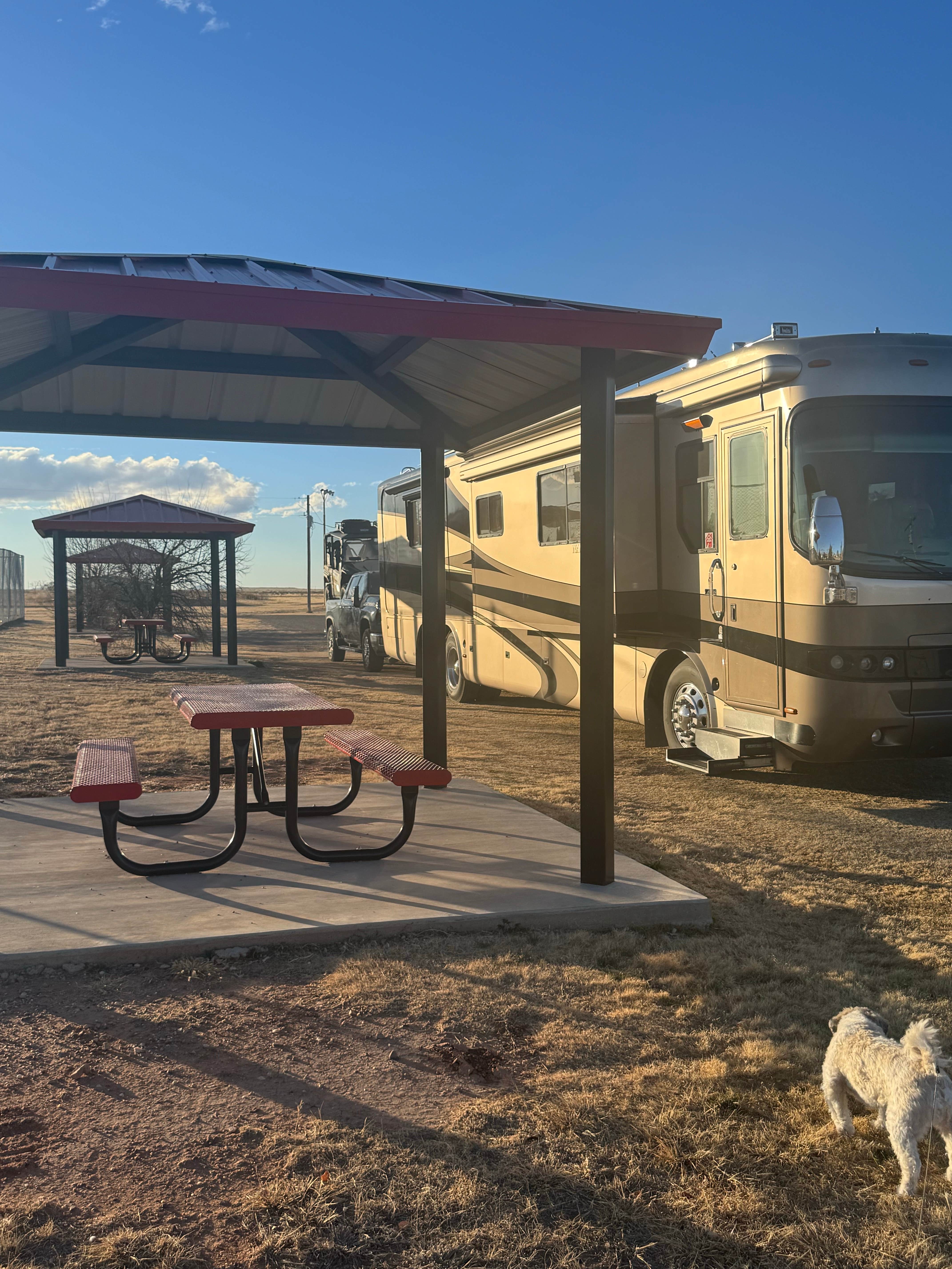 Brenda Y.'s photo of camping with pets at San Jon Village Park Route 66 near Clovis, NM