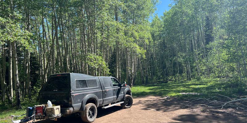 Camper submitted image from San Juan Madden Road Pulloff Dispersed Campsite