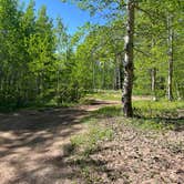 Review photo of San Juan Madden Road Pulloff Dispersed Campsite by Robert F., June 11, 2024