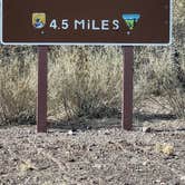 Review photo of San Lorenzo Canyon Dispersed by Renee T., January 6, 2025