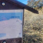 Review photo of San Lorenzo Canyon Dispersed by Renee T., January 6, 2025