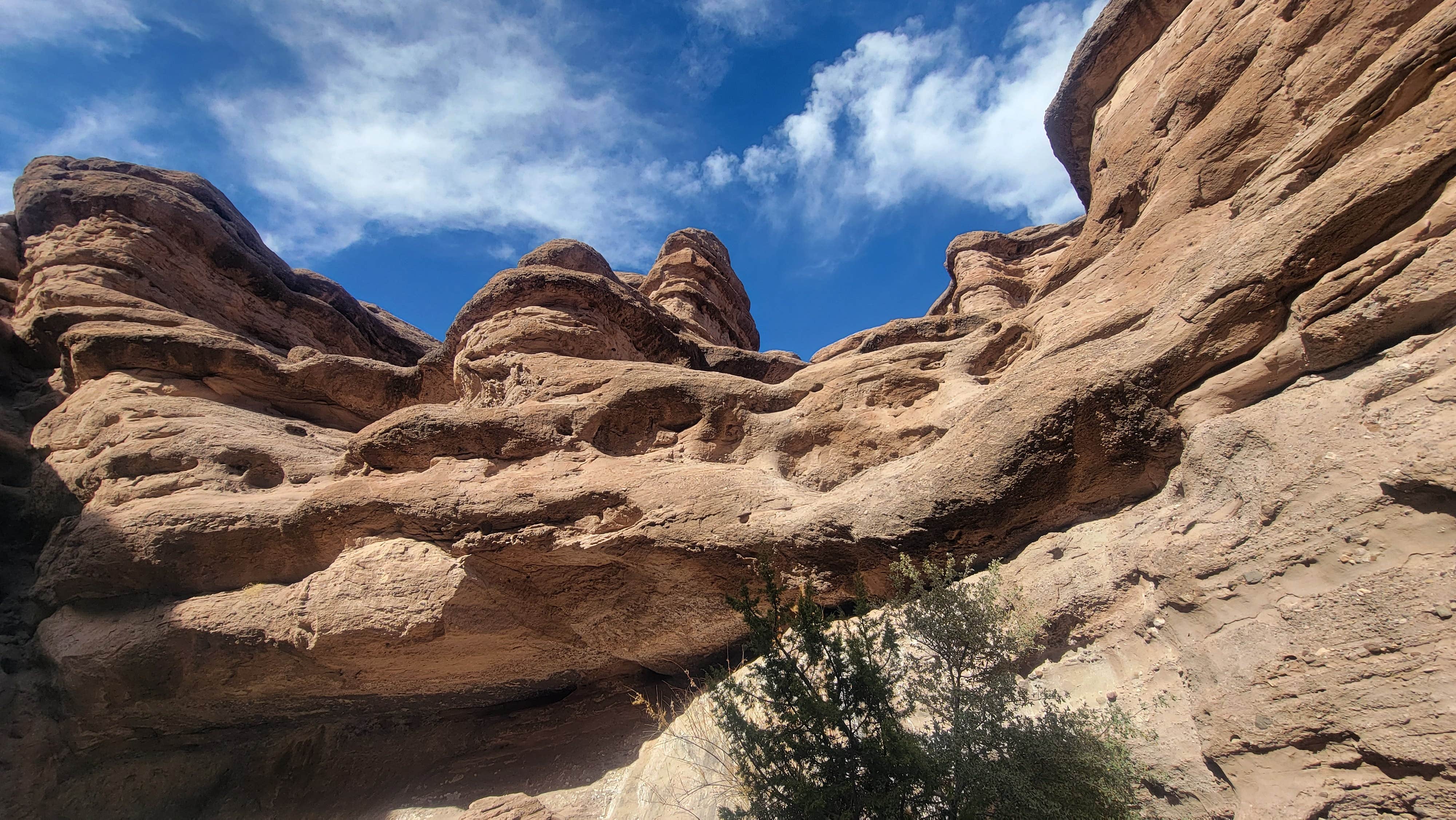 Camper submitted image from San Lorenzo Canyon Dispersed - 2