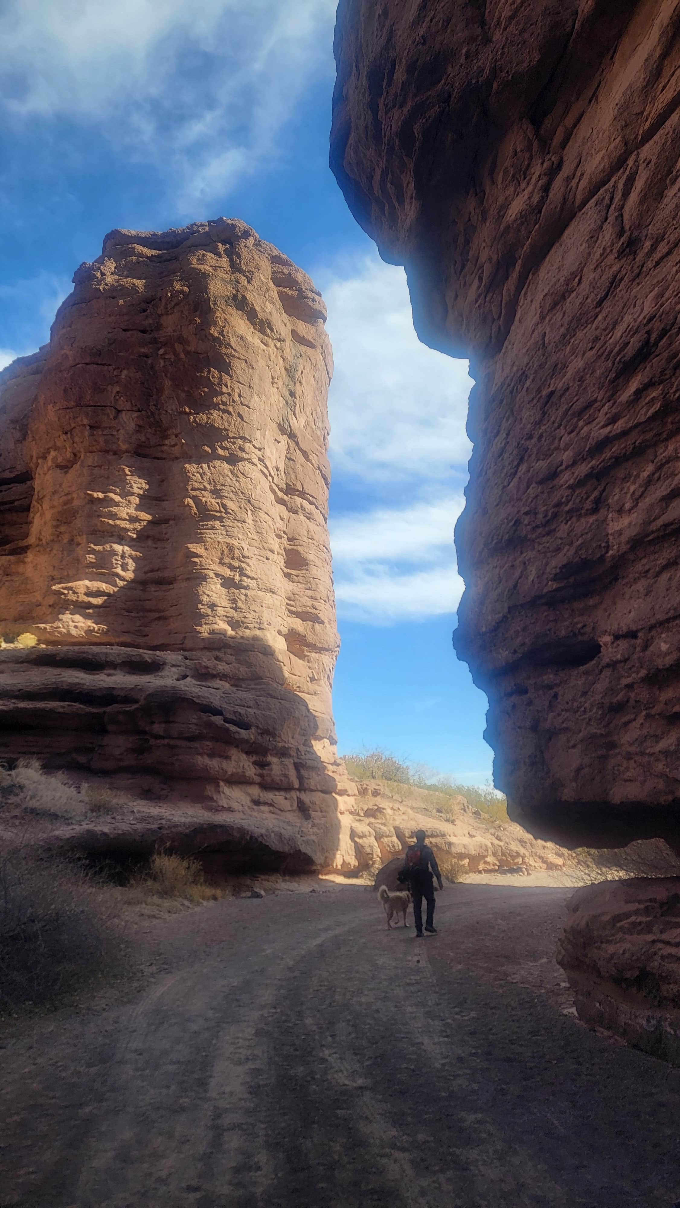 Renee T.'s photo of camping with pets at San Lorenzo Canyon Dispersed near Lemitar, NM