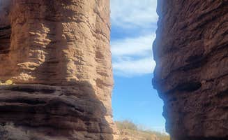 Renee T.'s photo of camping with pets at San Lorenzo Canyon Dispersed near Mountainair, NM