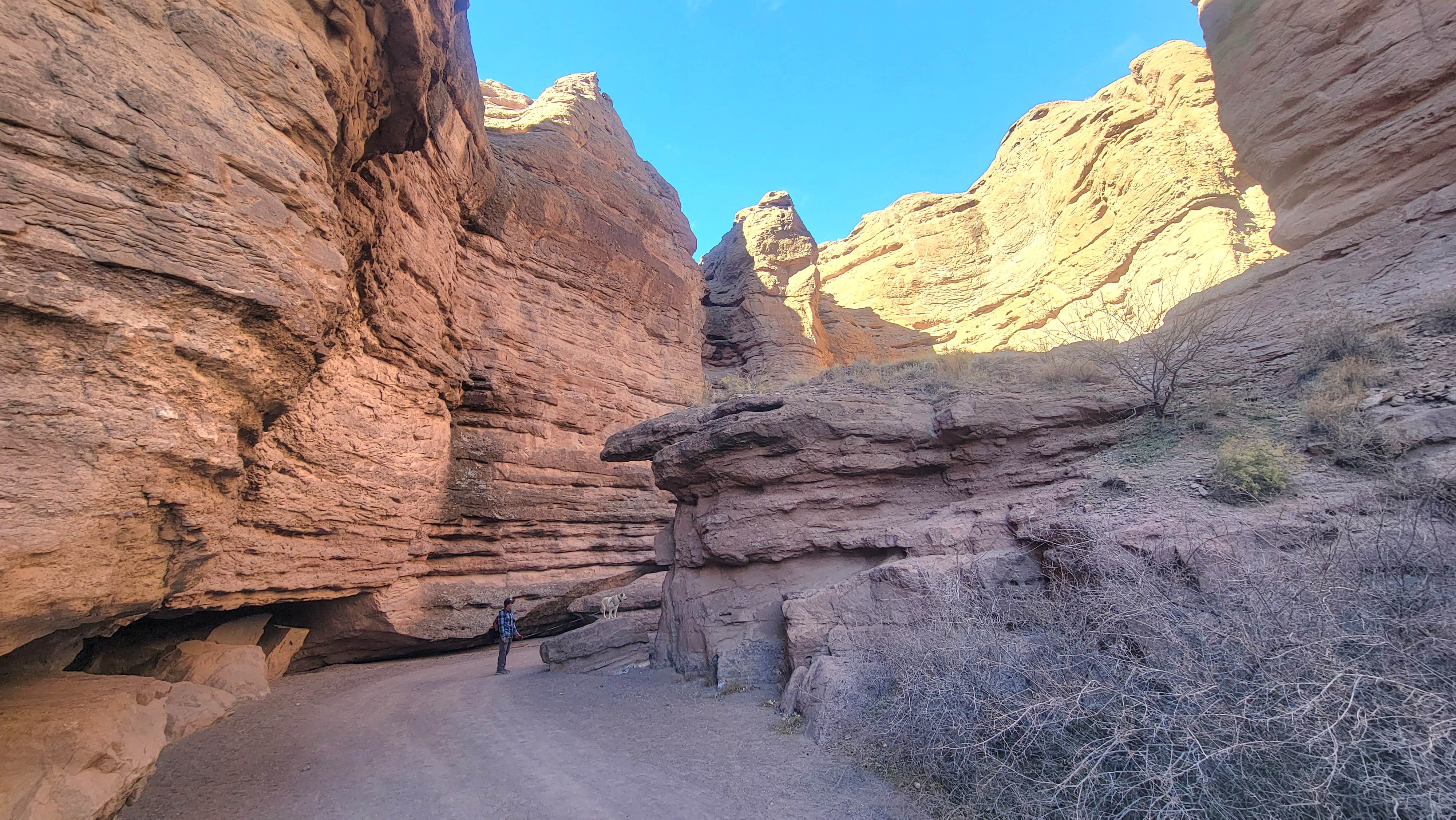 Camper-submitted photo at San Lorenzo Canyon Dispersed near San Acacia, NM