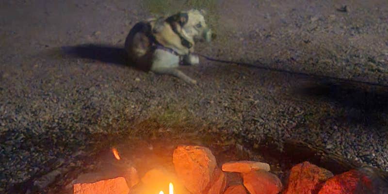 Camper submitted image from San Lorenzo Canyon Dispersed