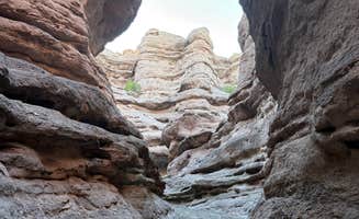 Emily S.'s photo of camping with pets at San Lorenzo Canyon Dispersed near Bosque Farms, NM