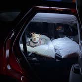 Review photo of San Lorenzo Canyon by Rey R., February 26, 2026