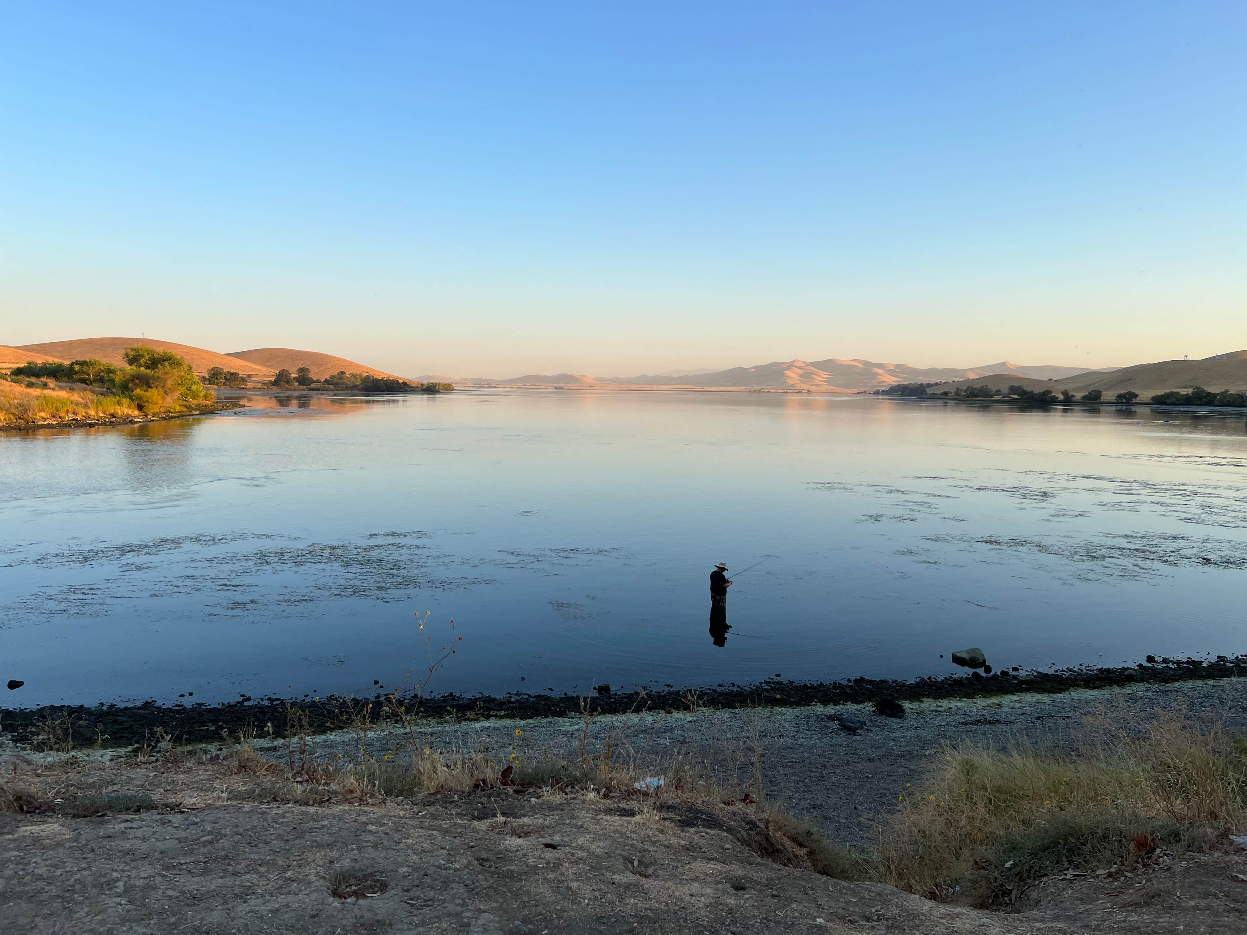 Camper submitted image from San Luis Creek Campground — San Luis Reservoir State Recreation Area - 5