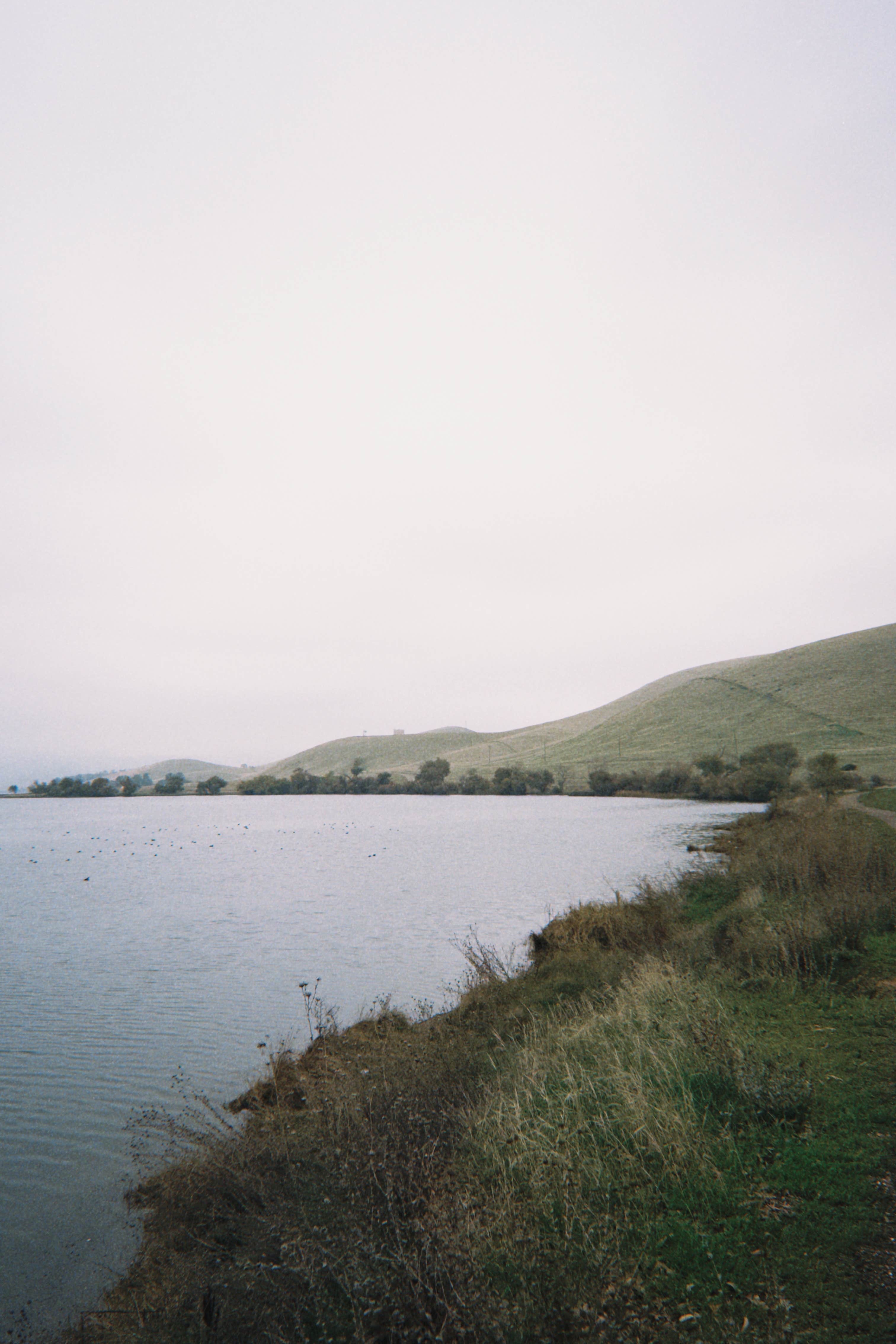 Camper-submitted photo at San Luis Creek Campground — San Luis Reservoir State Recreation Area near Gustine, CA