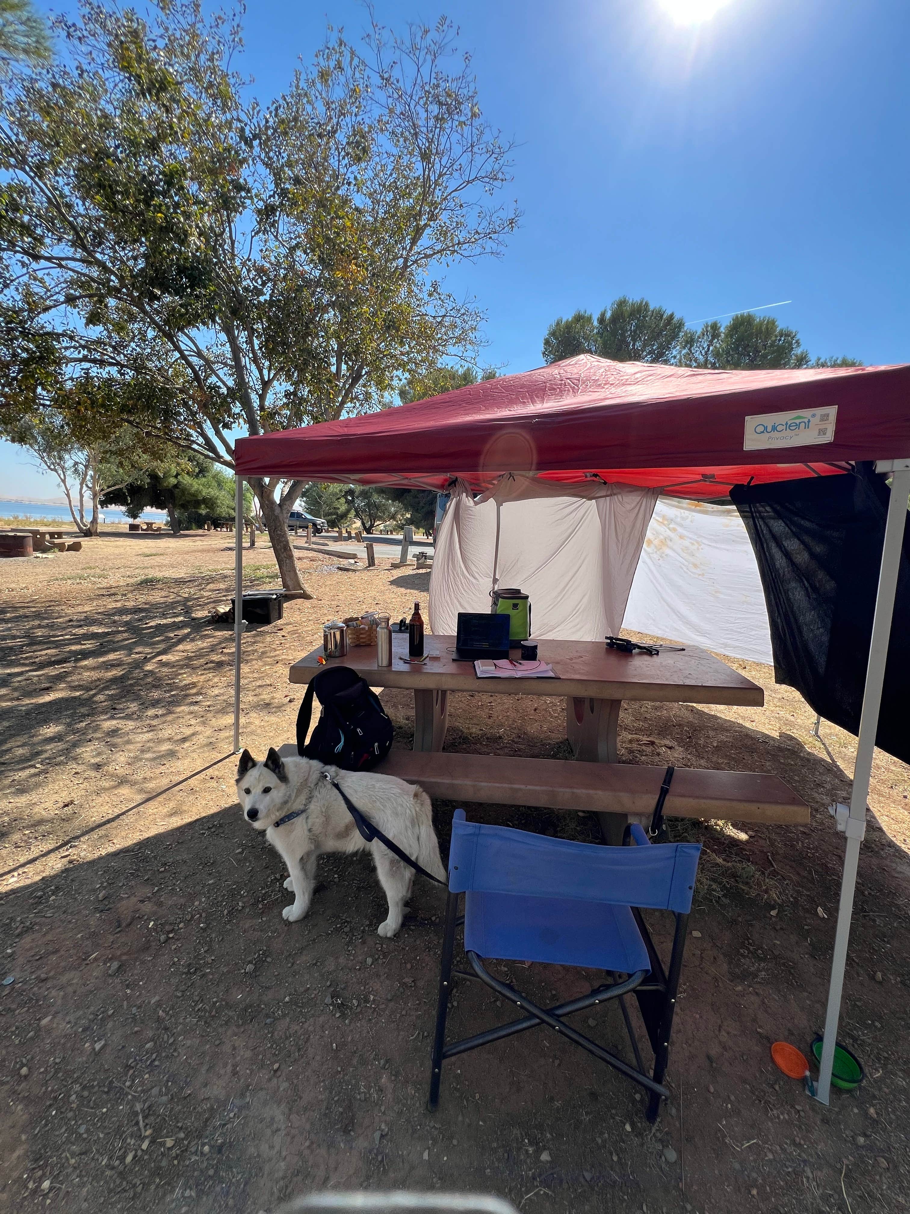 Camper submitted image from San Luis Creek Campground — San Luis Reservoir State Recreation Area - 2