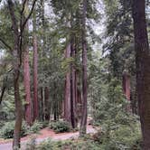 Review photo of San Mateo Memorial Park by C. K., September 17, 2026