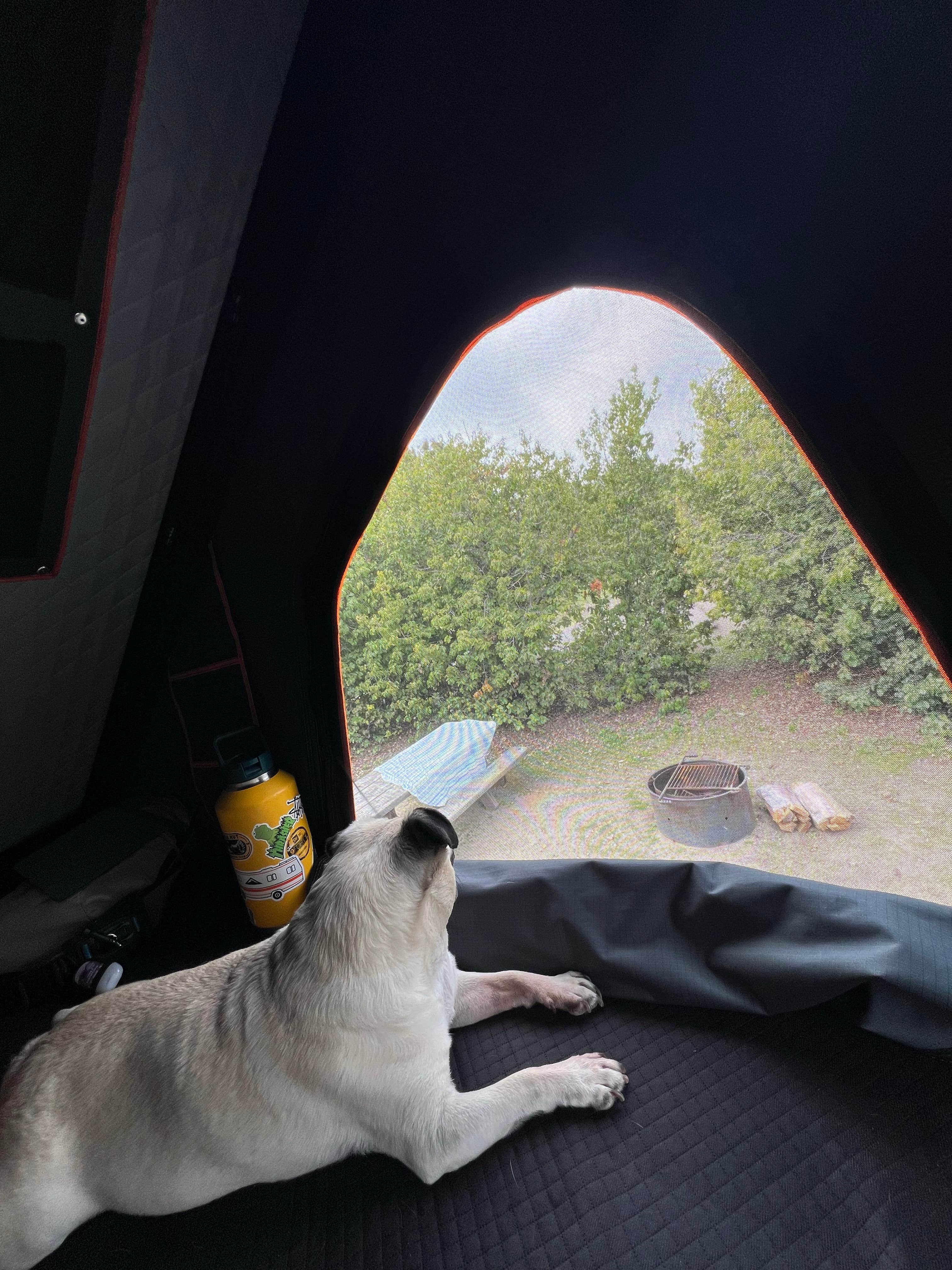 lordIrm's photo at San Mateo Campground — San Onofre State Beach near Corona del Mar, CA