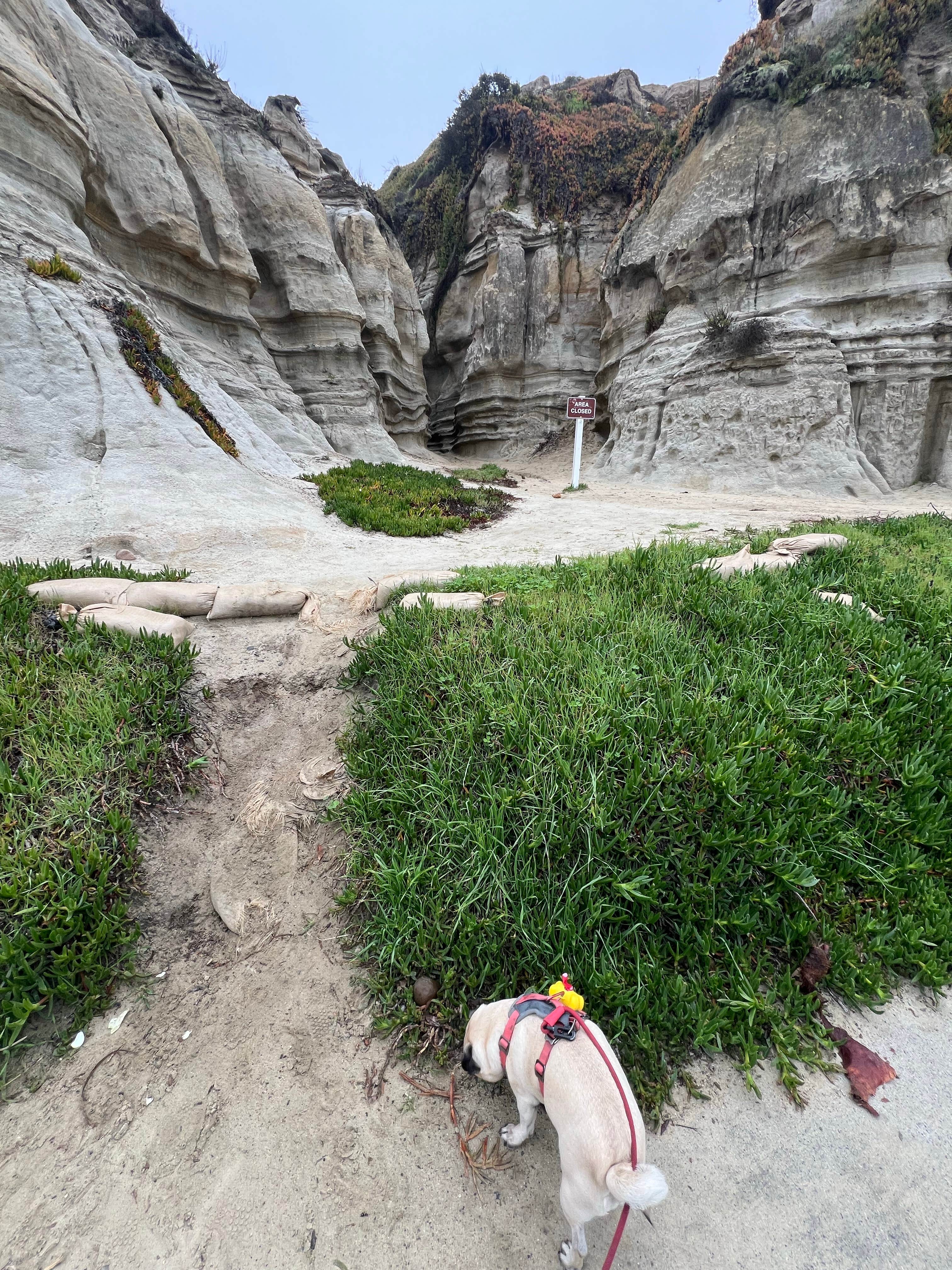 lordIrm's photo of camping with pets at San Mateo Campground — San Onofre State Beach near Menifee, CA