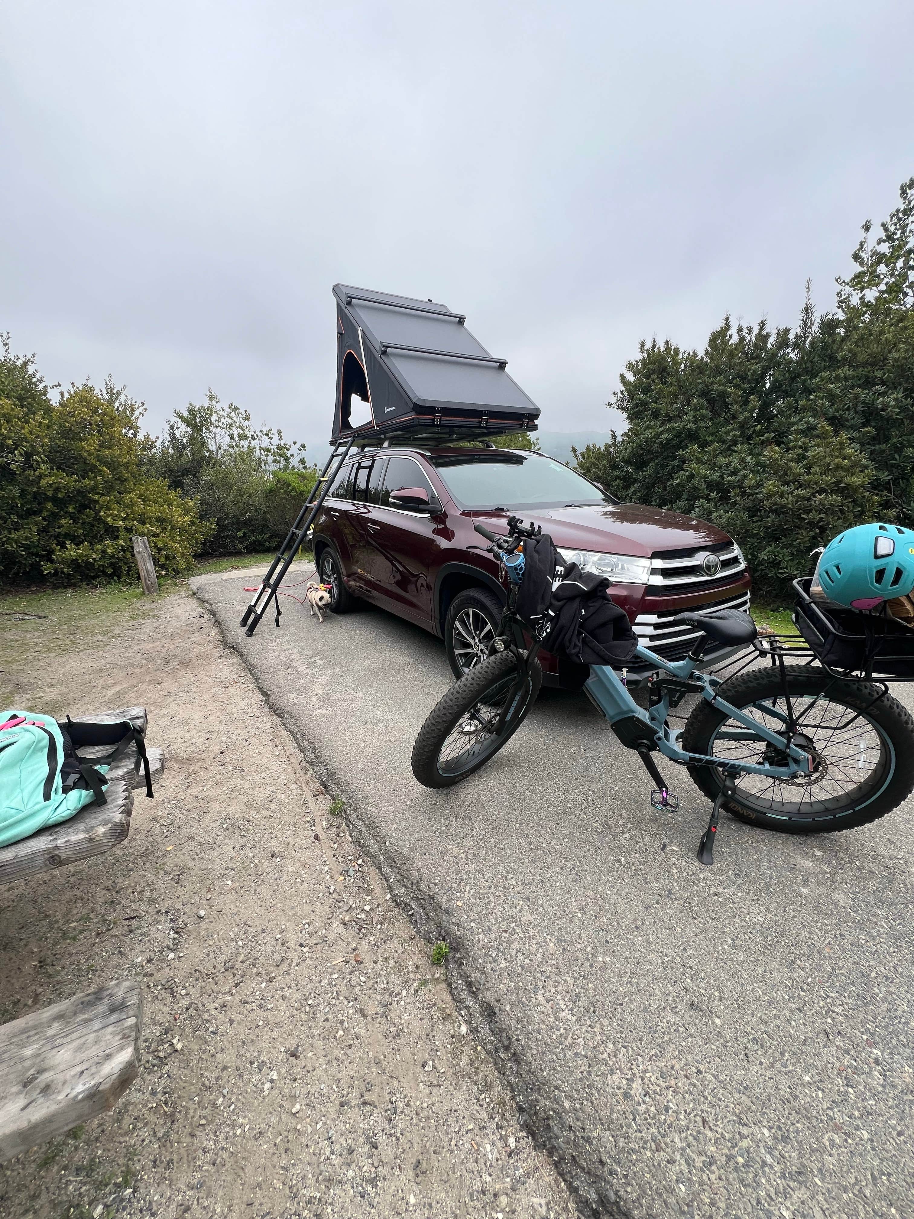 lordIrm's photo of camping with pets at San Mateo Campground — San Onofre State Beach near Oceanside, CA
