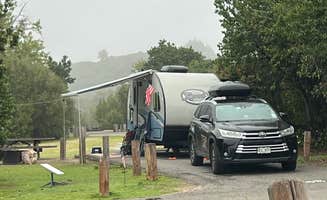 lordIrm's photo of camping with pets at San Mateo Campground — San Onofre State Beach near Irvine, CA