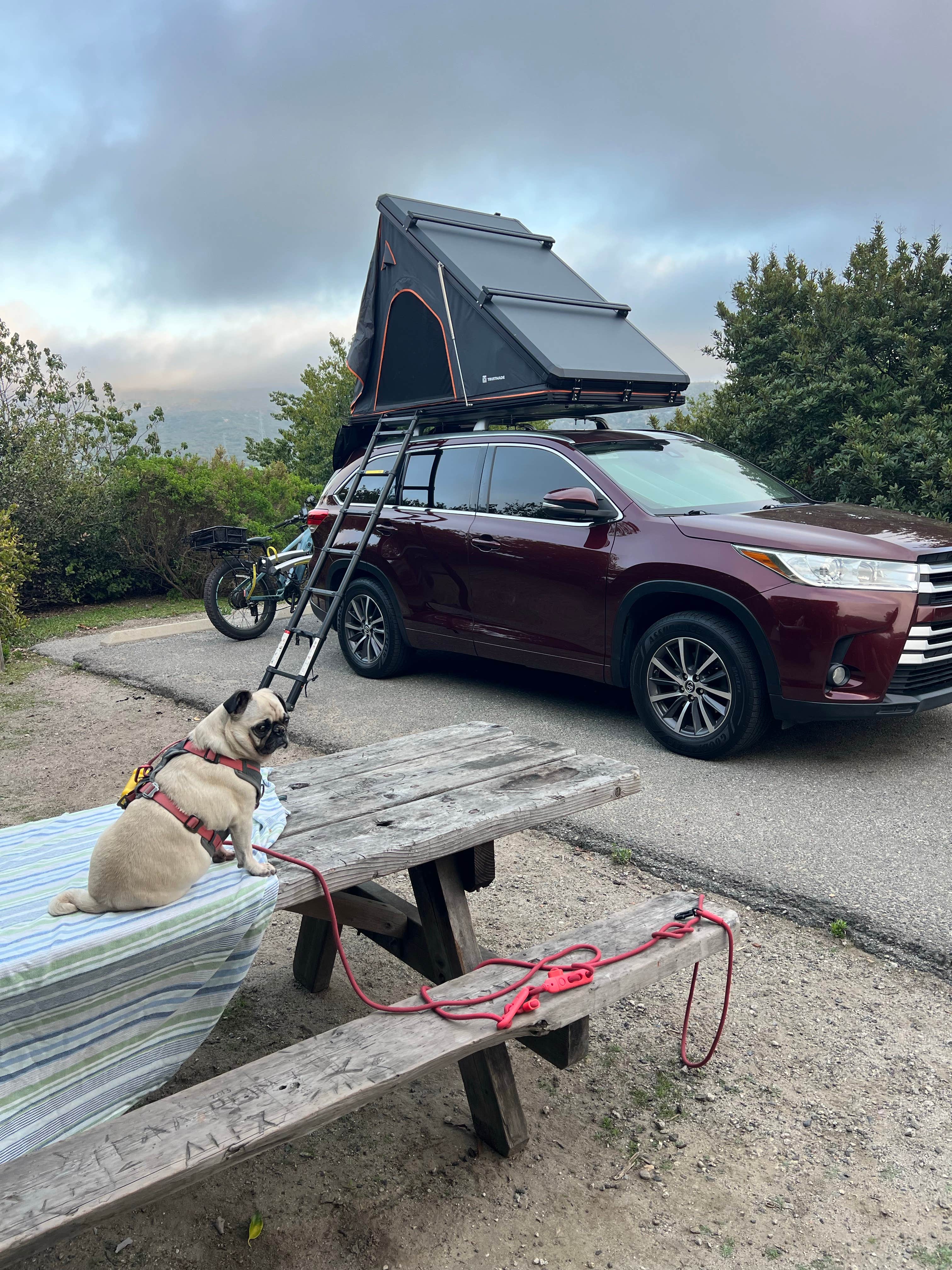 lordIrm's photo of camping with pets at San Mateo Campground — San Onofre State Beach near Temecula, CA
