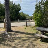 Review photo of San Mateo Campground — San Onofre State Beach by Rick L., April 17, 2025