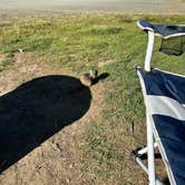 Review photo of San Simeon Creek Campground — Hearst San Simeon State Park by Erin G., April 6, 2026