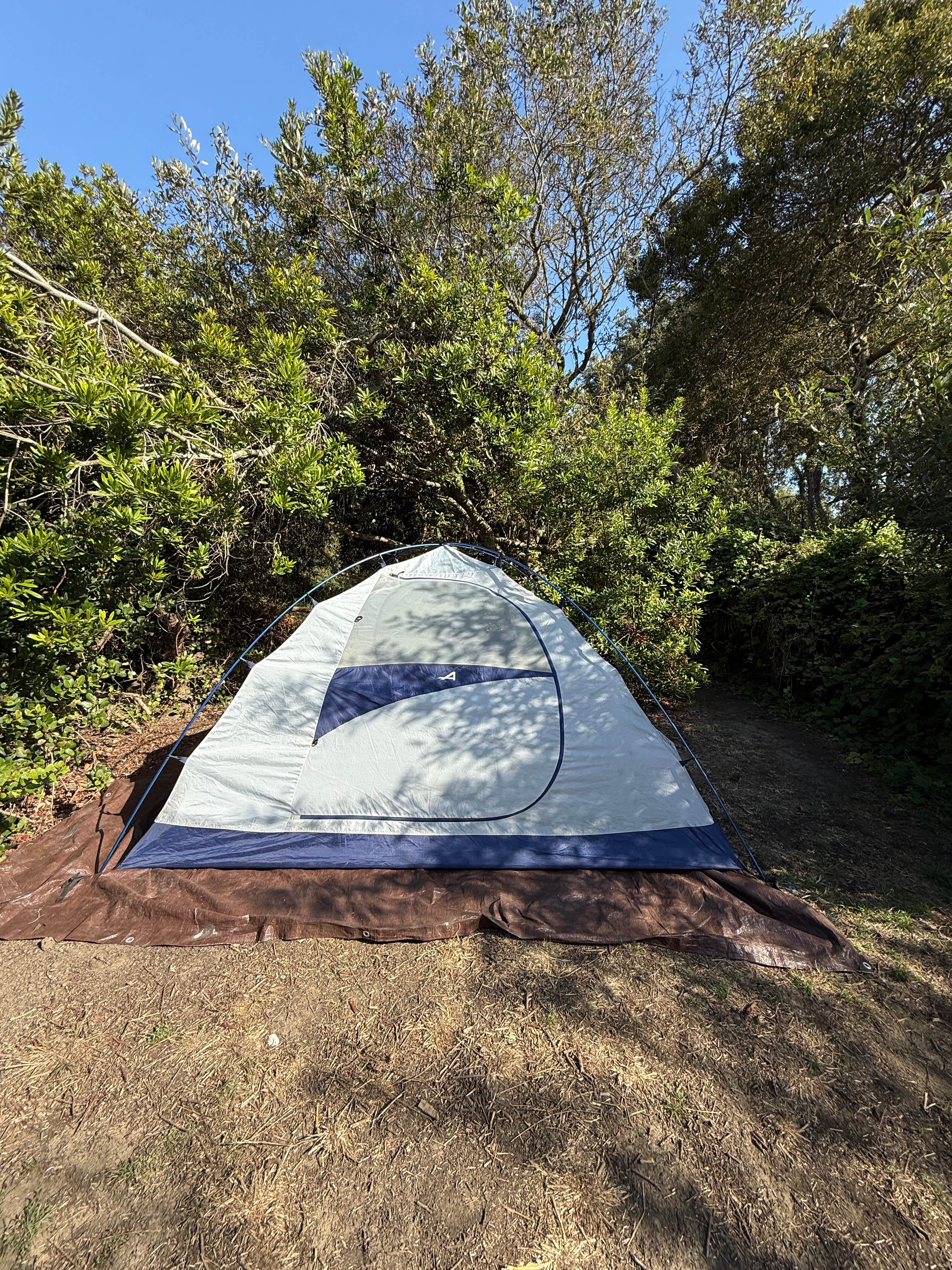 Sophia L.'s photo at San Simeon Creek Campground — Hearst San Simeon State Park near Cambria, CA