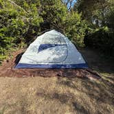Review photo of San Simeon Creek Campground — Hearst San Simeon State Park by Sophia L., September 28, 2025