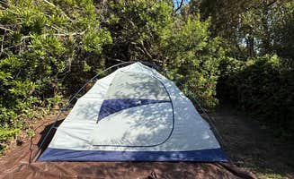 Sophia L.'s photo at San Simeon Creek Campground — Hearst San Simeon State Park near Bradley, CA