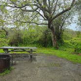 Review photo of San Simeon Creek Campground — Hearst San Simeon State Park by Kelly H., March 17, 2025