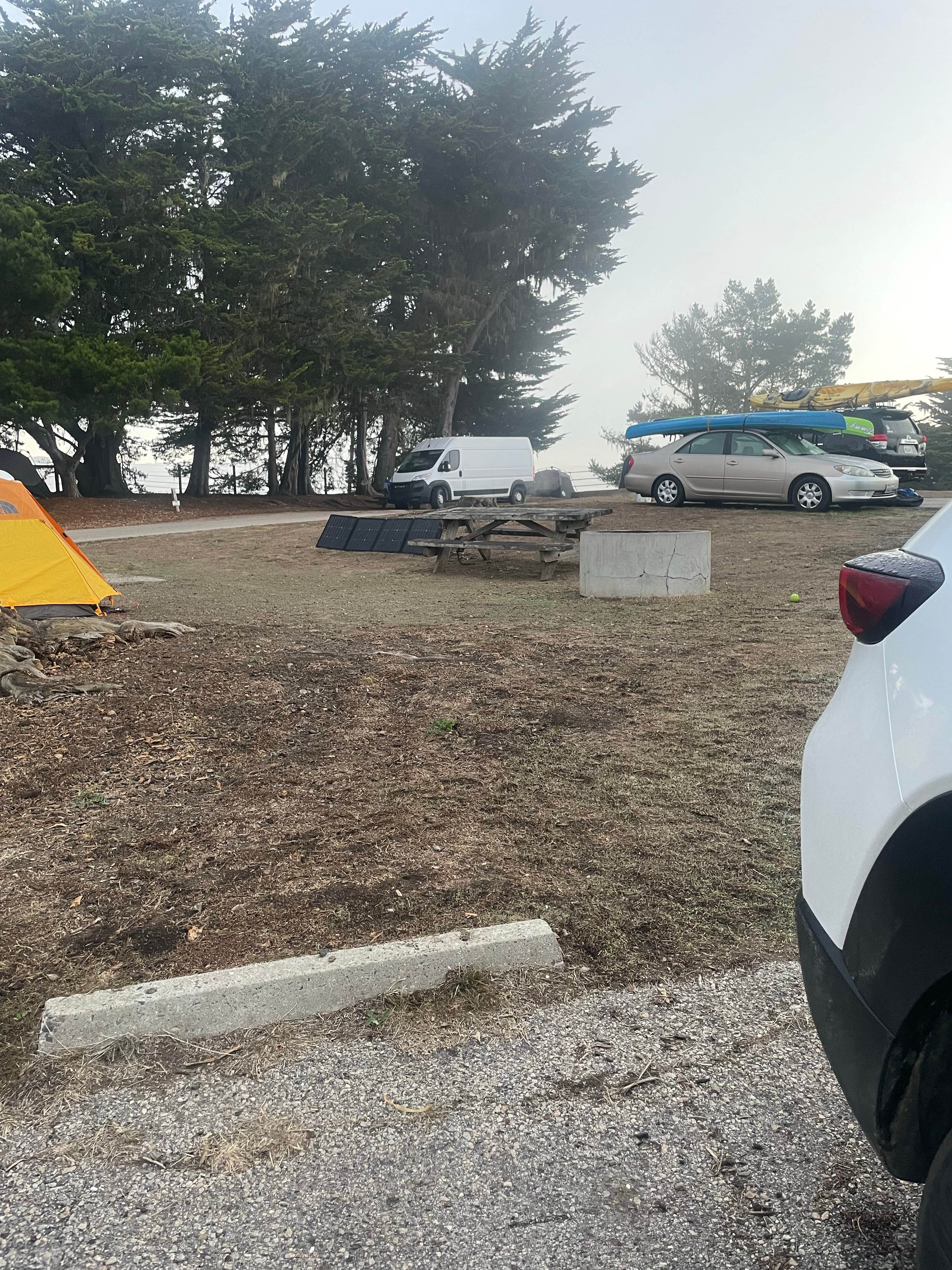 Crystal B.'s photo at San Simeon Creek Campground — Hearst San Simeon State Park near Cambria, CA