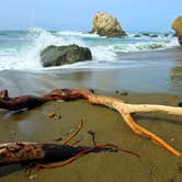 Review photo of San Simeon Creek Campground — Hearst San Simeon State Park by Kelly H., March 17, 2025