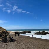 Review photo of San Simeon Creek Campground — Hearst San Simeon State Park by Erin G., April 6, 2026