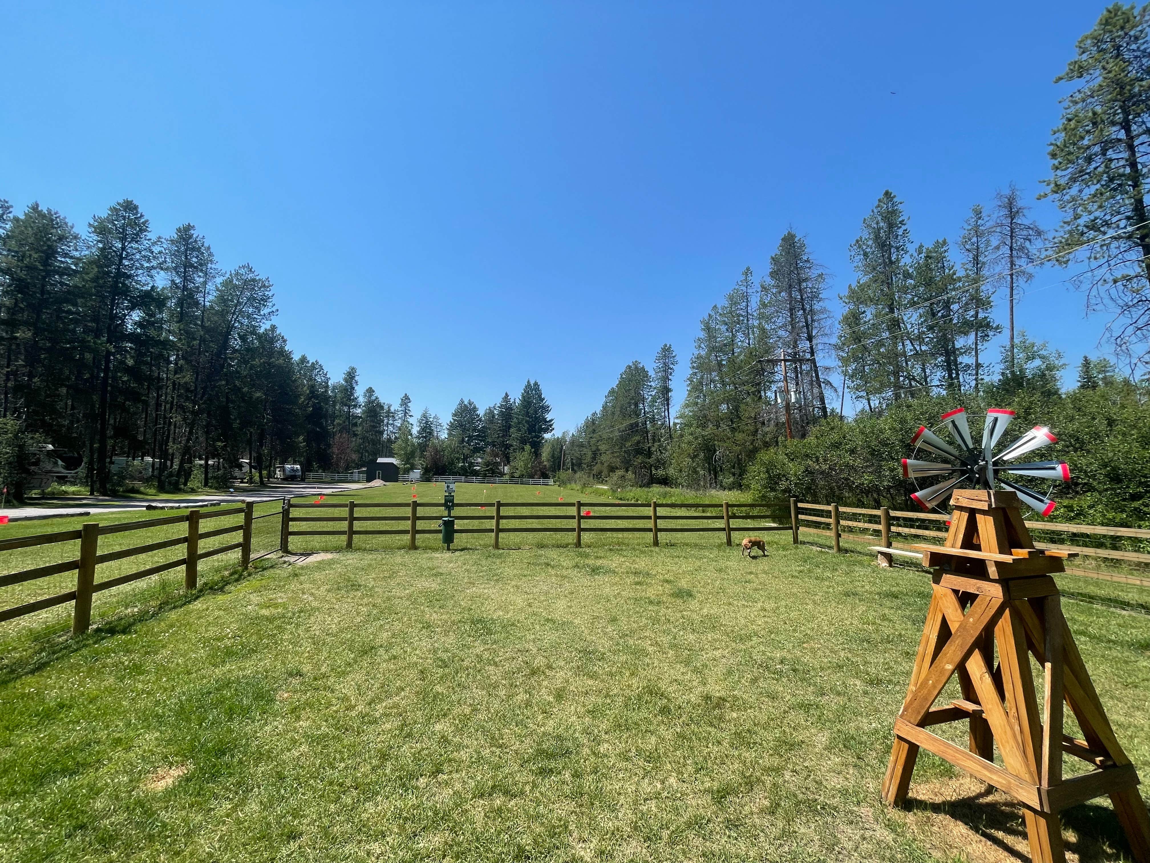 Cindy S.'s photo of camping with pets at Moose Creek RV Resort and Bed & Breakfast near Whitefish, MT