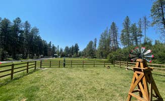 Cindy S.'s photo of camping with pets at Moose Creek RV Resort and Bed & Breakfast near West Glacier, MT